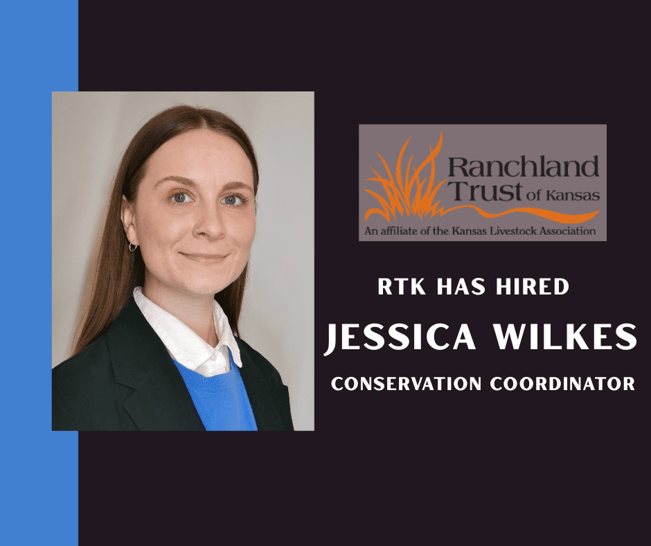 RTK HAS HIRED Jessica Wilkes
