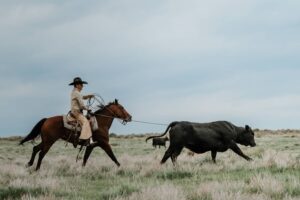 People - Sheridan Wimmer-Doyle