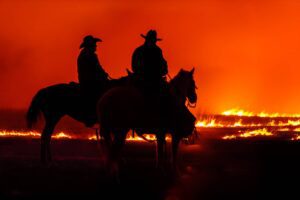 Grand Prize - Bruce Hogle