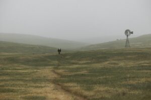 KLA Member - Shea Baird